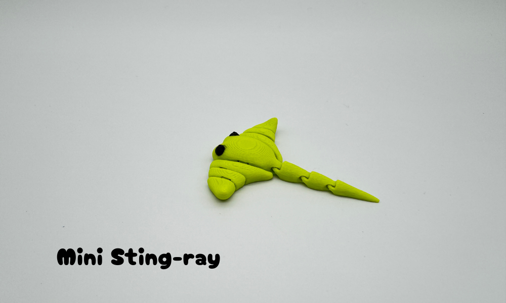 Mini Manta ray