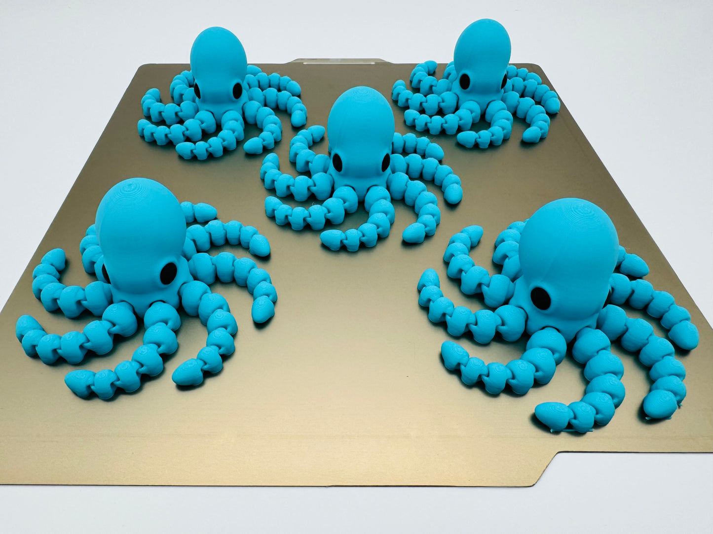 Octopus