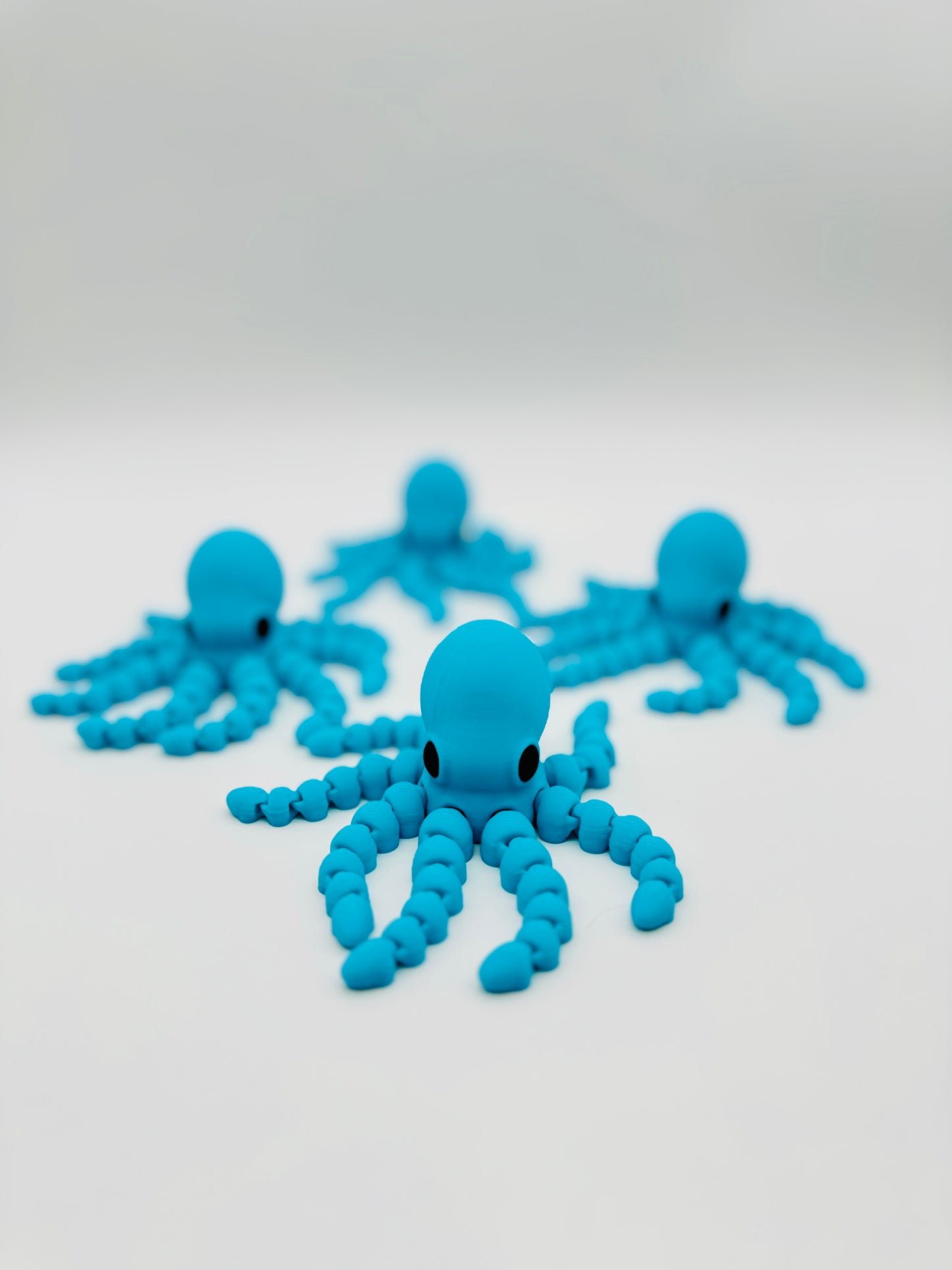 Octopus