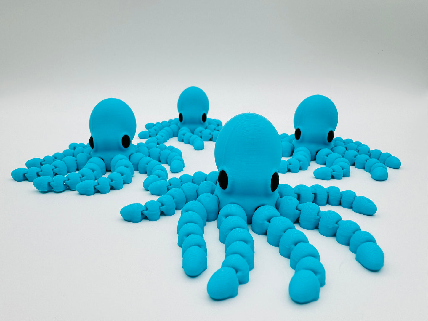 Octopus