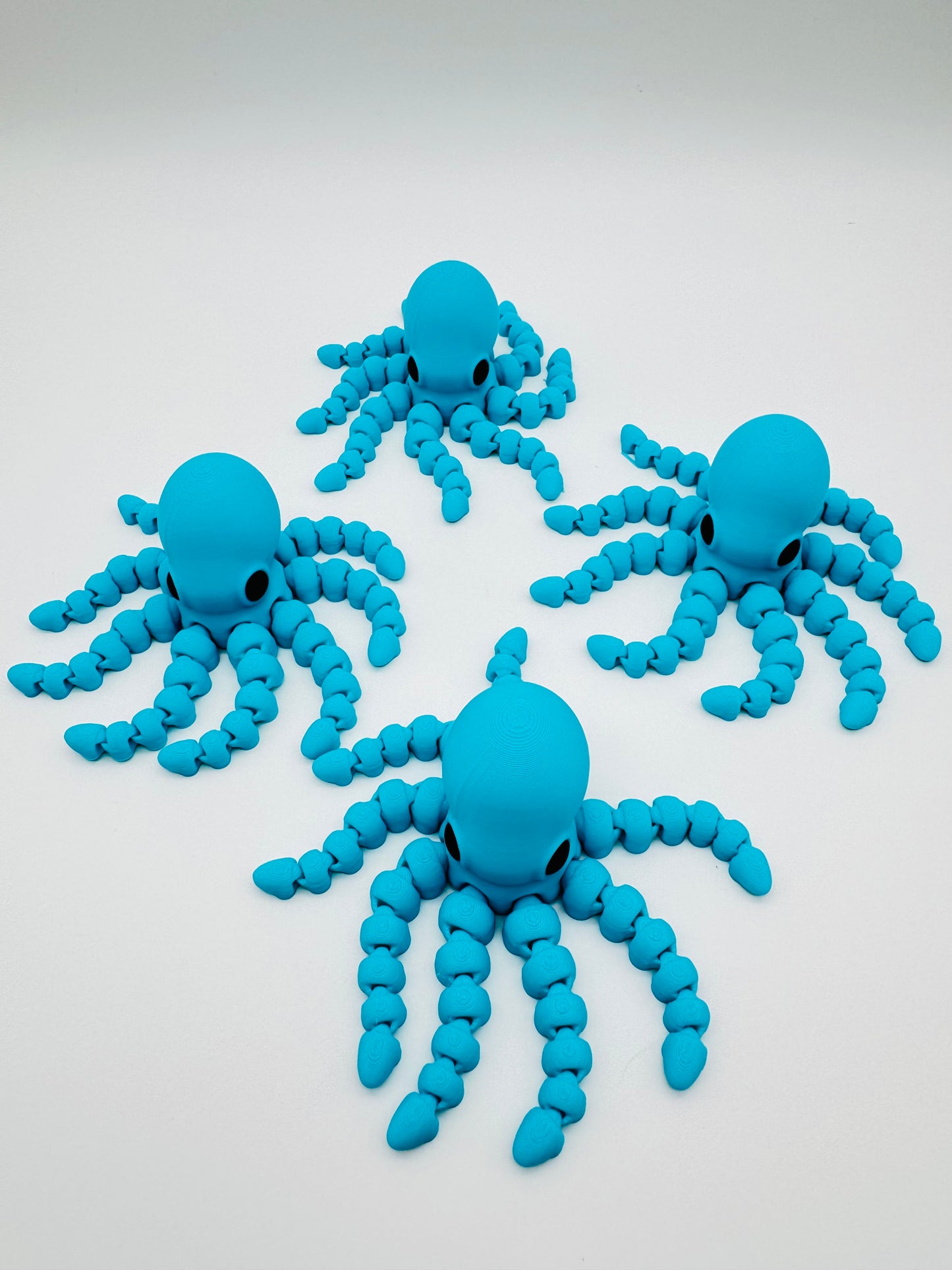 Octopus