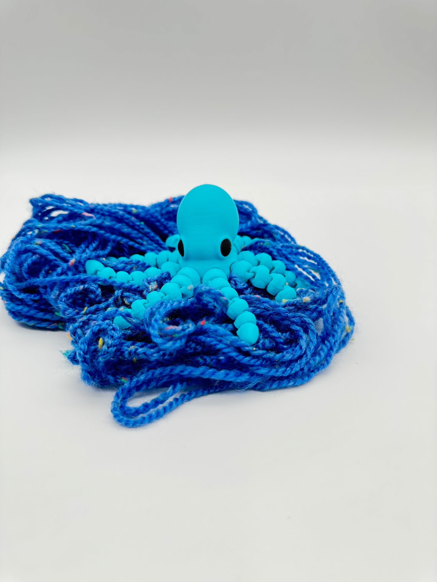 Octopus