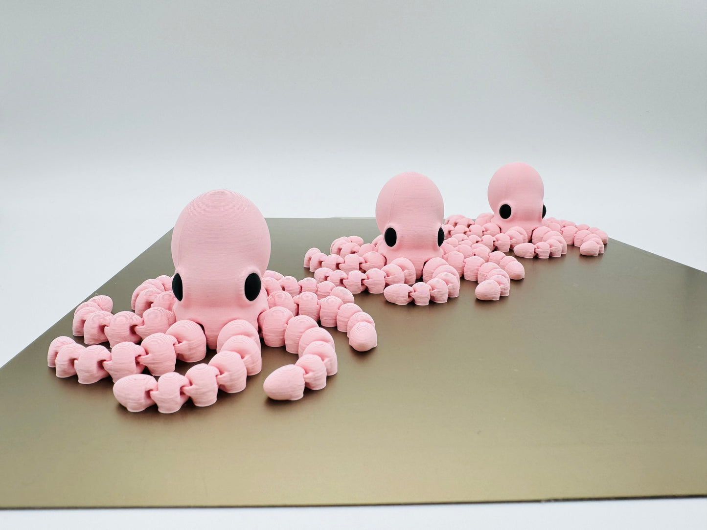 Octopus