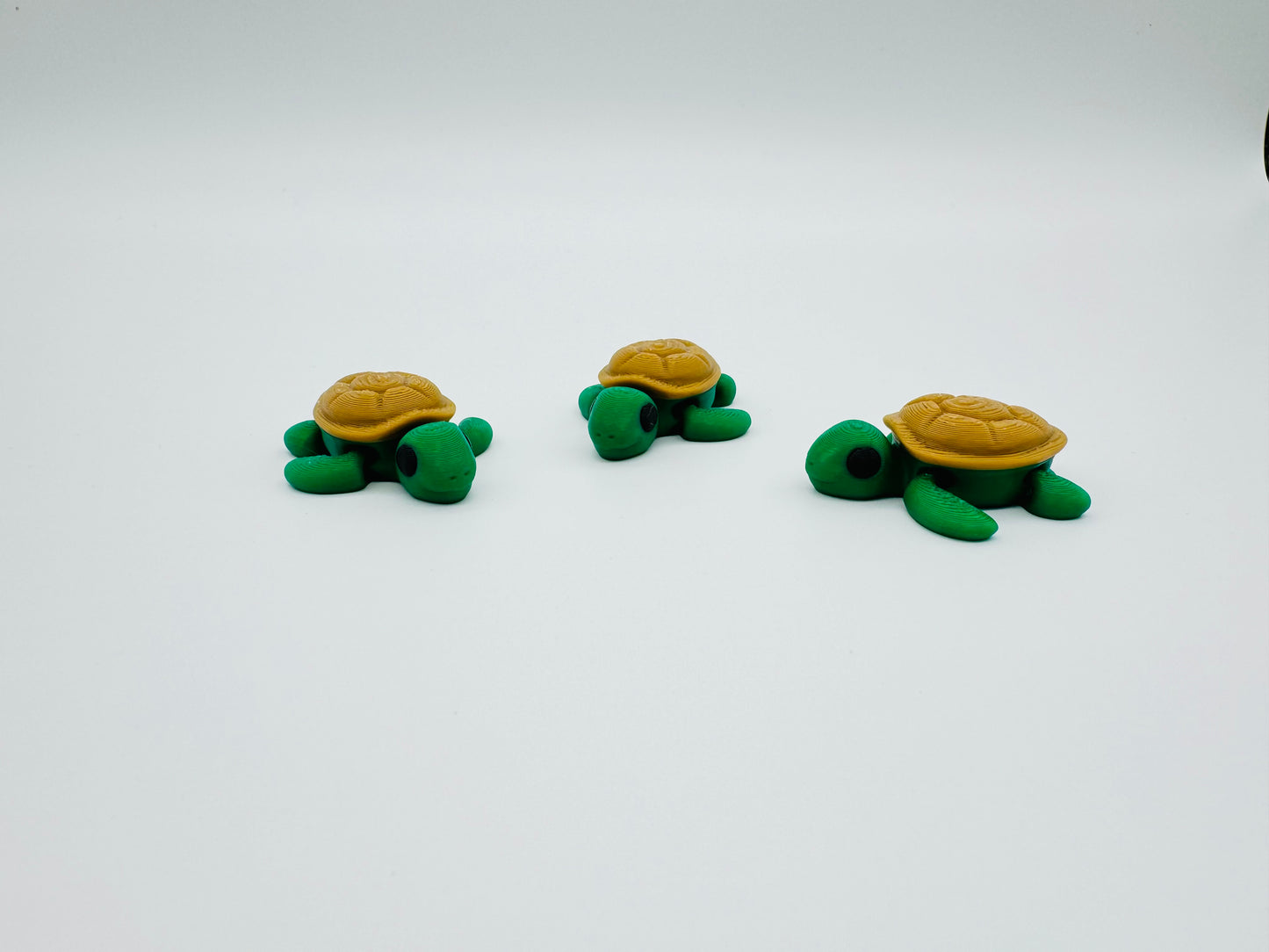 Mini Turtle