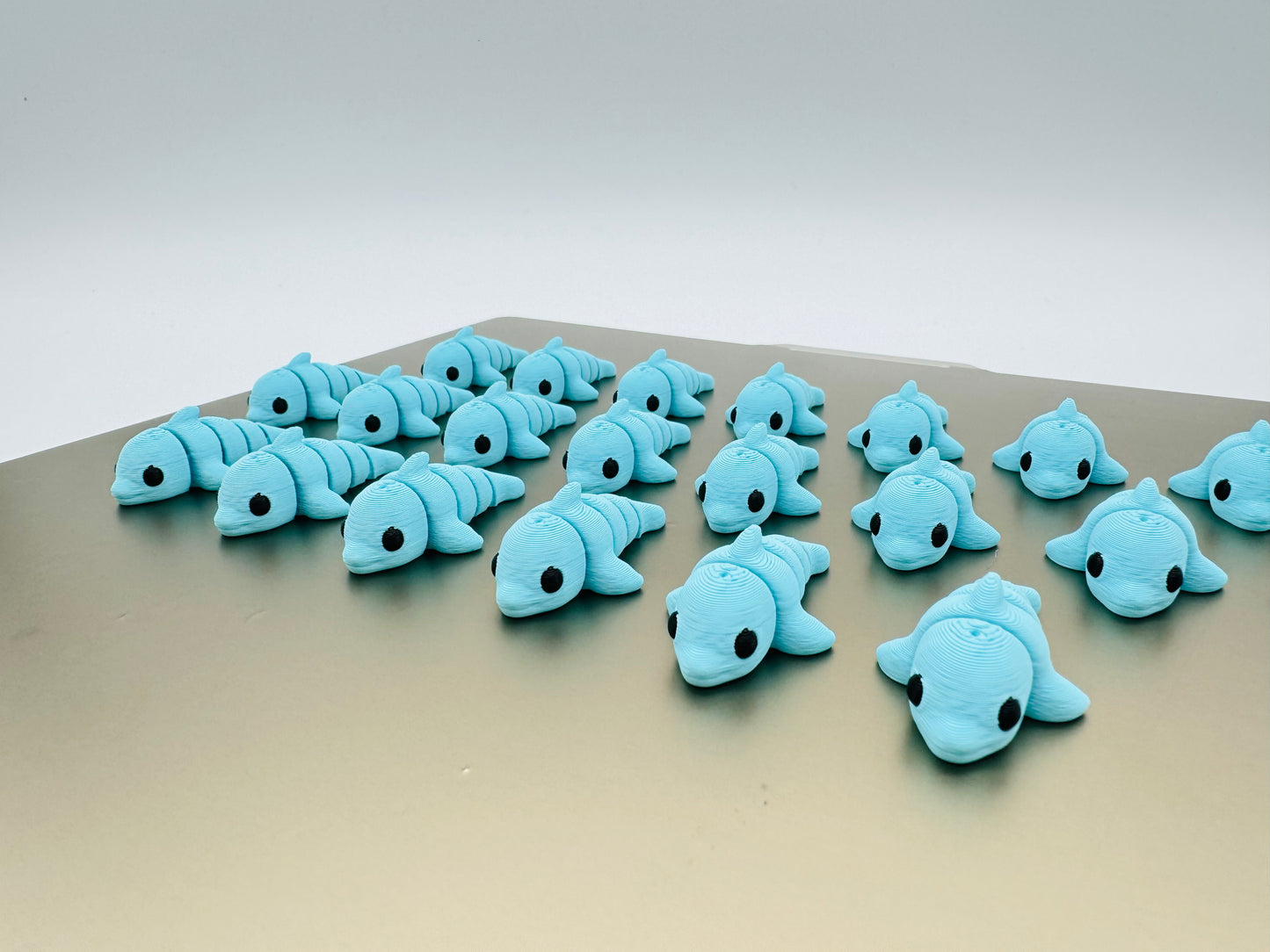 Mini Dolphins