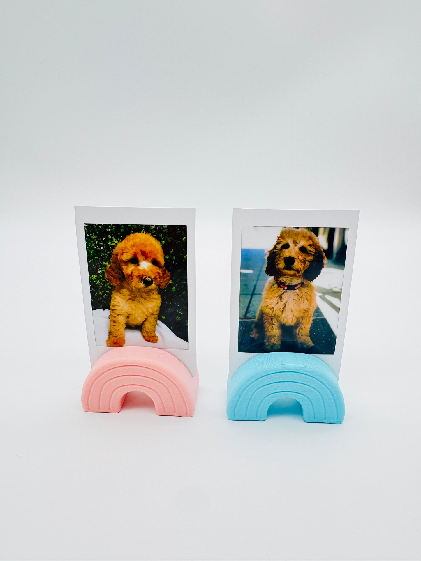 Rainbow Photo & Card Holder