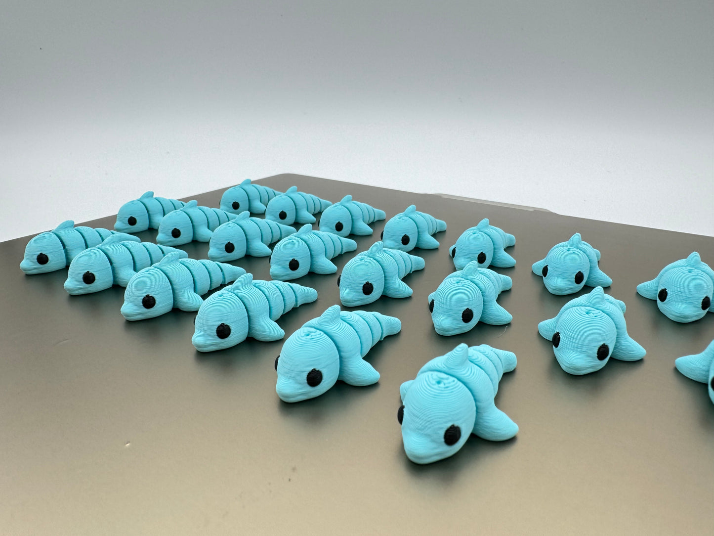 Mini Dolphins