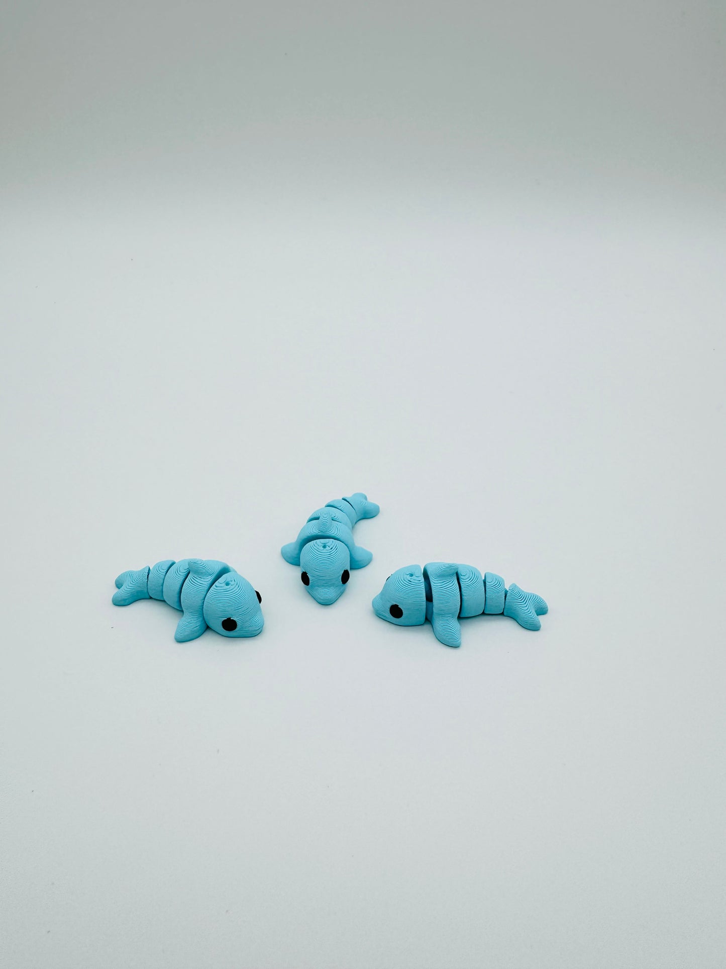 Mini Dolphins