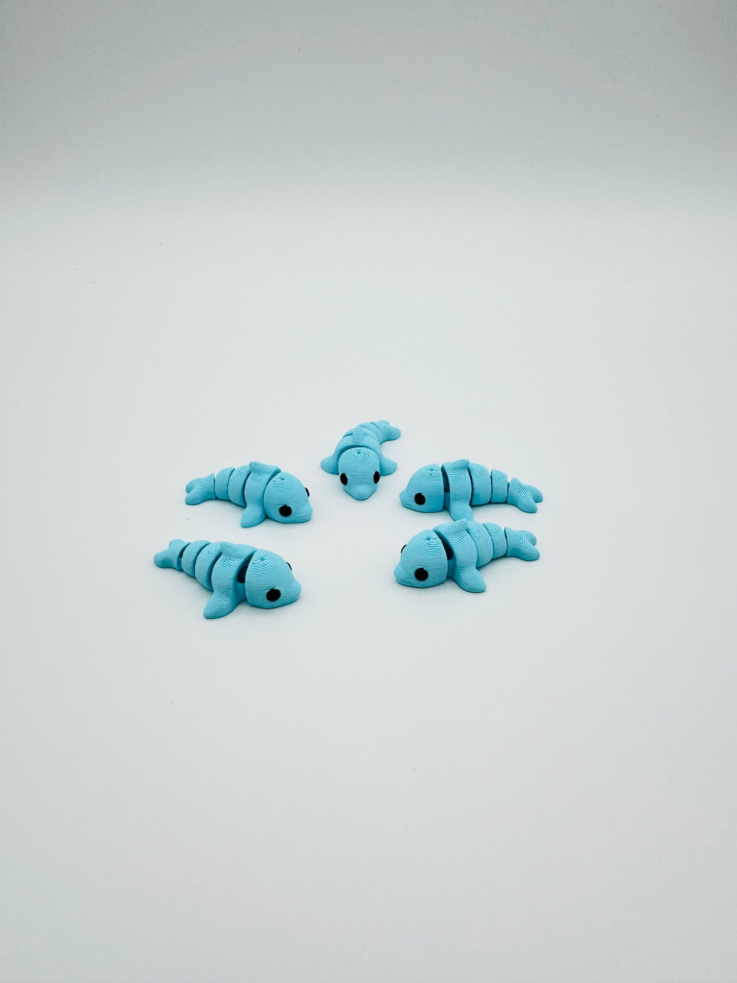 Mini Dolphins