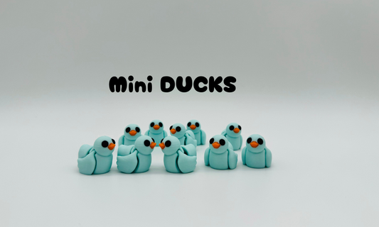 Mini Duck