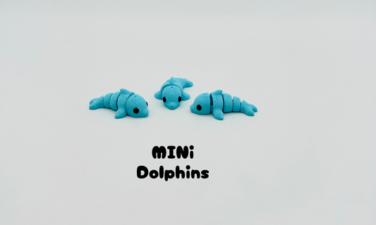 Mini Dolphins