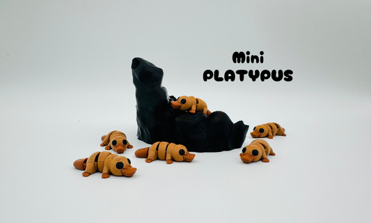 Mini Platypus